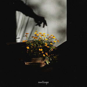 一区二区三区四区大尺度
