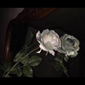 一区二区三区四区大尺度
